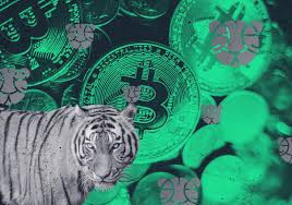 Buy Verified coin tiger Account,buy coin tiger account,buy coin tiger Verified accounts ,coin tiger accounts For Sale,Buy coin tiger Accounts,